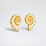 Nautilus Earrings White